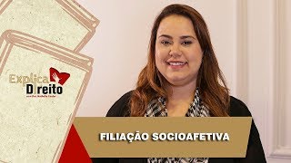 Explica Direito Filiação Socioafetiva  2019 [upl. by Phene810]