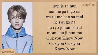 NCT U  Know Now Easy Lyrics [upl. by Barimah]