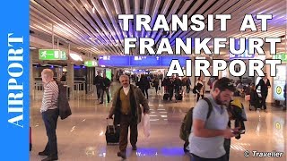 TRANSIT WALK AT FRANKFURT Airport FRA Terminal 1  Connection Flight Transfer Arriving amp Departing [upl. by Camila]